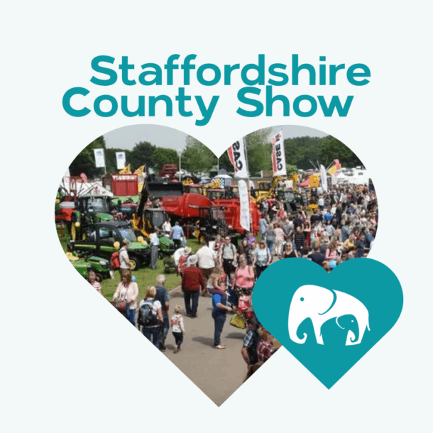 Family Fostering Partners at the Staffordshire County Show 2025