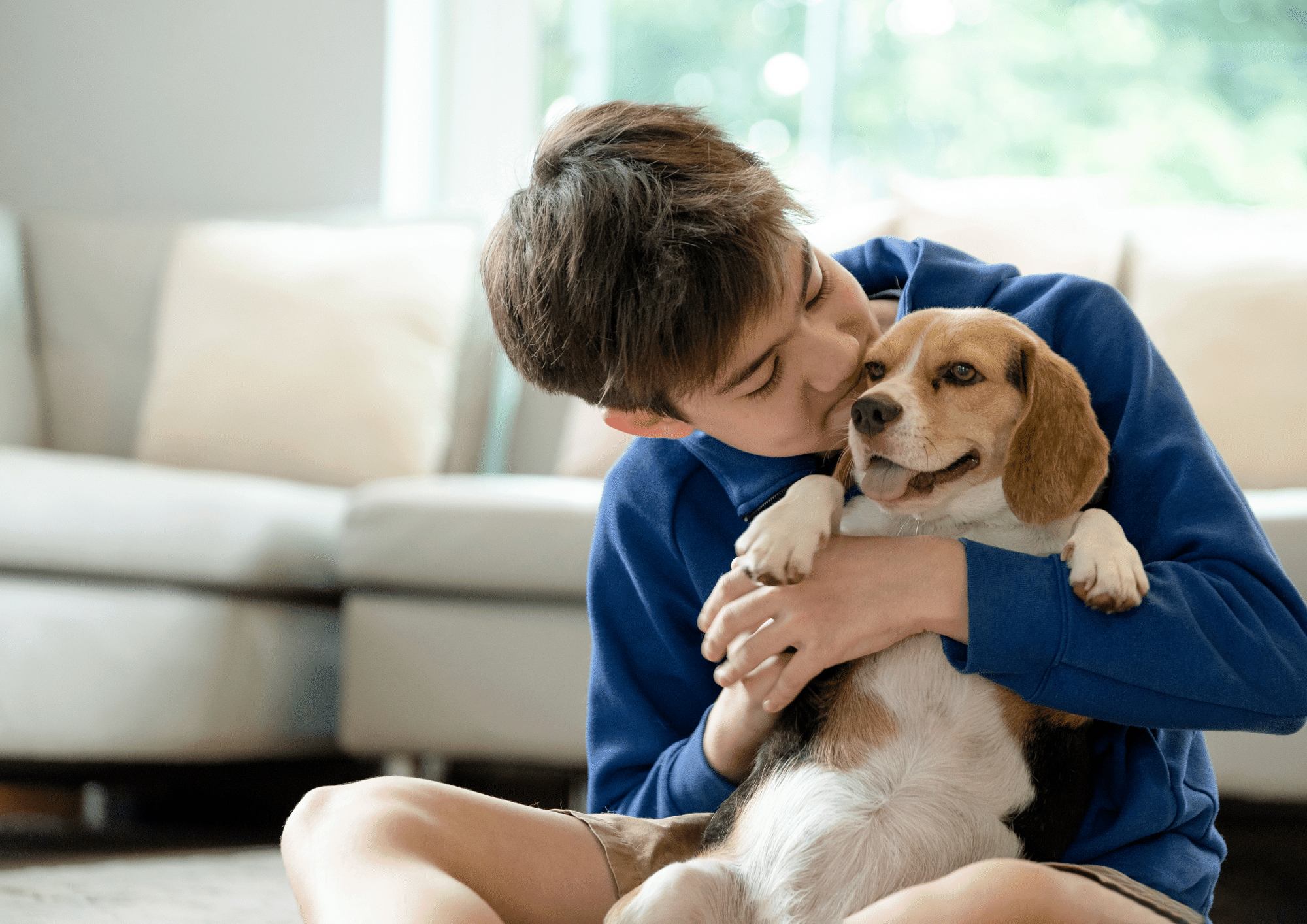 Fostering With Dogs